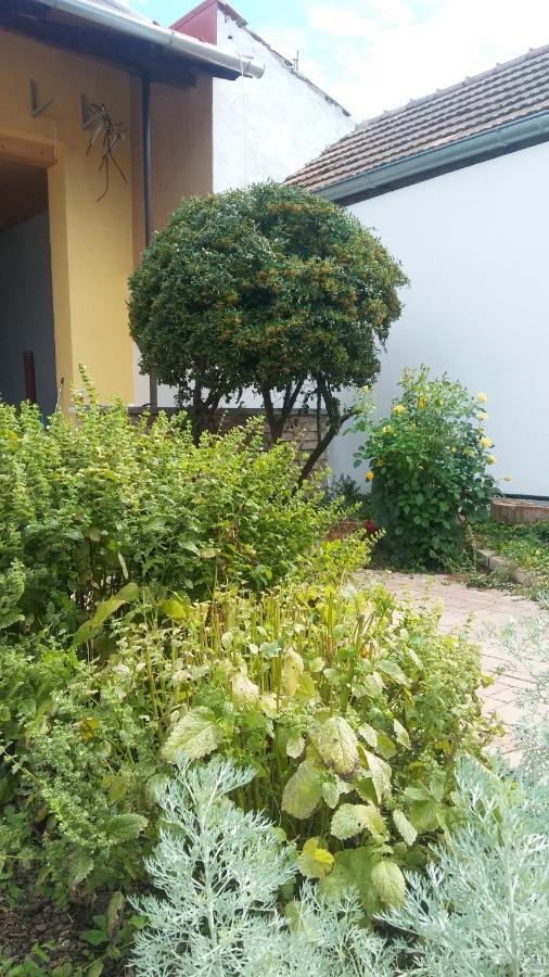 Gasthaus Za Vodou Moravská Nová Ves Exterior foto