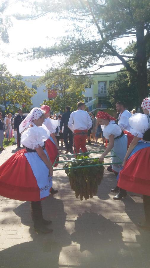 Gasthaus Za Vodou Moravská Nová Ves Exterior foto